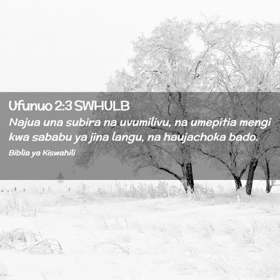 Picture 02 - Ufunuo 2:3 SWHULB - Najua una subira na uvumilivu, na umepitia mengi - Bible Verse Picture
