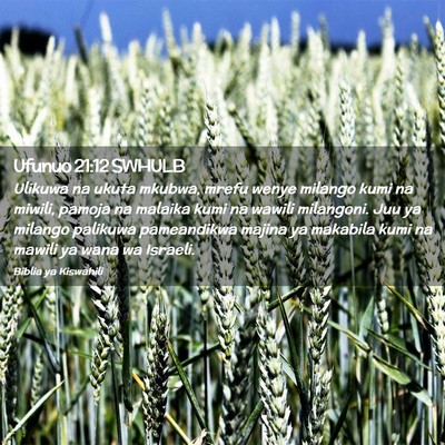 Picture 02 - Ufunuo 21:12 SWHULB - Ulikuwa na ukuta mkubwa, mrefu wenye milango kumi - Bible Verse Picture