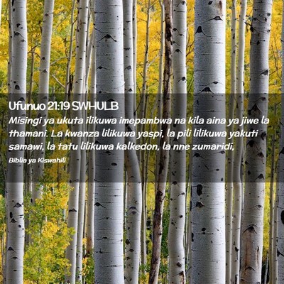 Picture 02 - Ufunuo 21:19 SWHULB - Misingi ya ukuta ilikuwa imepambwa na kila aina - Bible Verse Picture