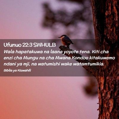 Picture 02 - Ufunuo 22:3 SWHULB - Wala hapatakuwa na laana yoyote tena. Kiti cha - Bible Verse Picture