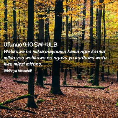 Picture 02 - Ufunuo 9:10 SWHULB - Walikuwa na mikia inayouma kama nge; katika mikia - Bible Verse Picture