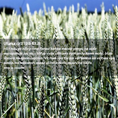Picture 02 - Ufunuo 9:17 SWHULB - Hivi ndivyo nilivyoona farasi katika maono yangu - Bible Verse Picture