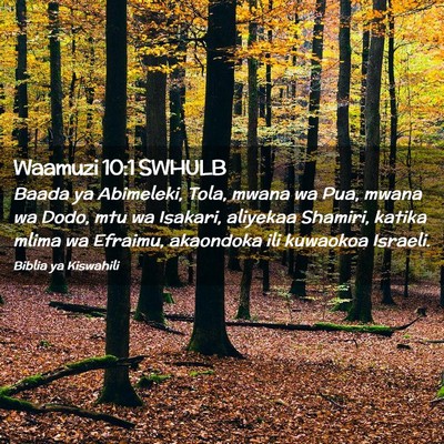Picture 02 - Waamuzi 10:1 SWHULB - Baada ya Abimeleki, Tola, mwana wa Pua, mwana wa - Bible Verse Picture
