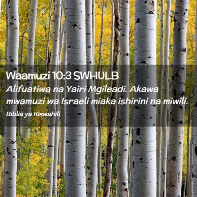 Picture 02 - Waamuzi 10:3 SWHULB - Alifuatiwa na Yairi Mgileadi. Akawa mwamuzi wa - Bible Verse Picture