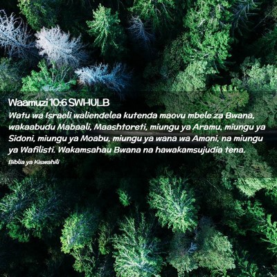 Picture 02 - Waamuzi 10:6 SWHULB - Watu wa Israeli waliendelea kutenda maovu mbele - Bible Verse Picture