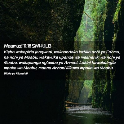 Picture 02 - Waamuzi 11:18 SWHULB - Kisha wakapitia jangwani, wakaondoka katika nchi - Bible Verse Picture