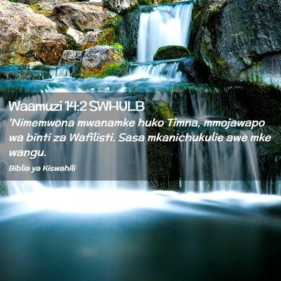 Picture 02 - Waamuzi 14:2 SWHULB - 'Nimemwona mwanamke huko Timna, mmojawapo wa - Bible Verse Picture