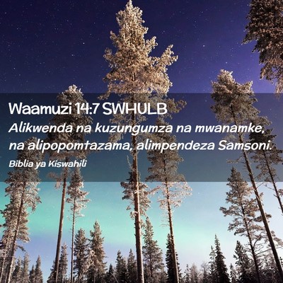 Picture 02 - Waamuzi 14:7 SWHULB - Alikwenda na kuzungumza na mwanamke, na - Bible Verse Picture