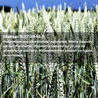 Picture 02 - Waamuzi 16:25 SWHULB - Walipokuwa wakisherehekea, wakasema, 'Mwite - Bible Verse Picture