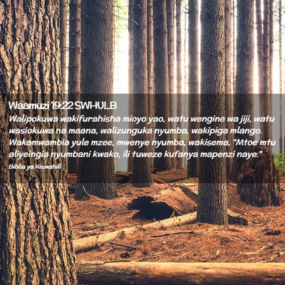 Picture 02 - Waamuzi 19:22 SWHULB - Walipokuwa wakifurahisha mioyo yao, watu wengine - Bible Verse Picture