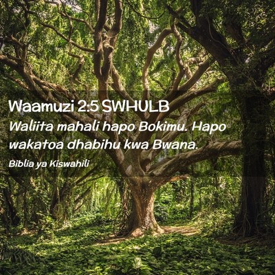 Picture 02 - Waamuzi 2:5 SWHULB - Waliita mahali hapo Bokimu. Hapo wakatoa dhabihu - Bible Verse Picture