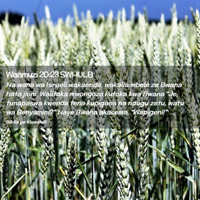 Picture 02 - Waamuzi 20:23 SWHULB - Na wana wa Israeli wakaenda, wakalia mbele za - Bible Verse Picture