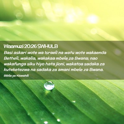 Picture 02 - Waamuzi 20:26 SWHULB - Basi askari wote wa Israeli na watu wote wakaenda - Bible Verse Picture