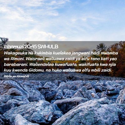Picture 02 - Waamuzi 20:45 SWHULB - Wakageuka na kukimbia kuelekea jangwani hadi - Bible Verse Picture
