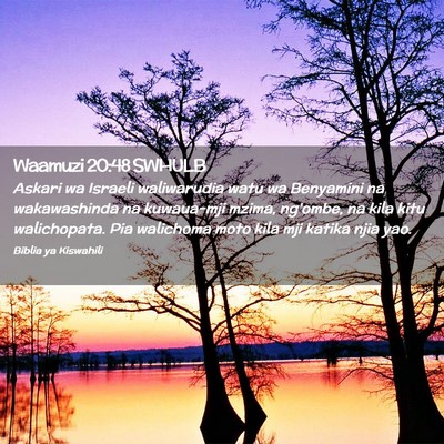 Picture 02 - Waamuzi 20:48 SWHULB - Askari wa Israeli waliwarudia watu wa Benyamini - Bible Verse Picture