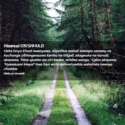 Picture 02 - Waamuzi 3:19 SWHULB - Hata hivyo Ehudi mwenyewe, alipofikia mahali - Bible Verse Picture
