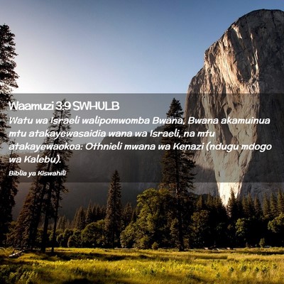 Picture 02 - Waamuzi 3:9 SWHULB - Watu wa Israeli walipomwomba Bwana, Bwana - Bible Verse Picture