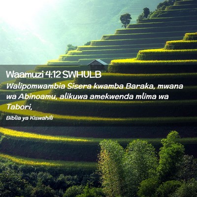 Picture 02 - Waamuzi 4:12 SWHULB - Walipomwambia Sisera kwamba Baraka, mwana wa - Bible Verse Picture