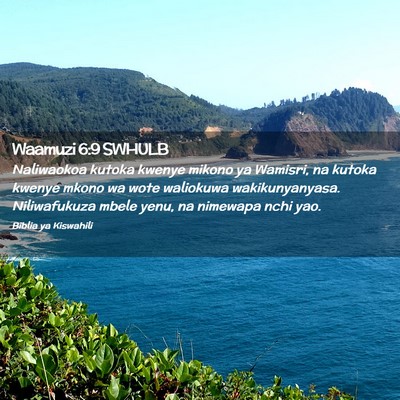 Picture 02 - Waamuzi 6:9 SWHULB - Naliwaokoa kutoka kwenye mikono ya Wamisri, na - Bible Verse Picture