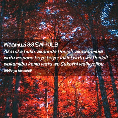 Picture 02 - Waamuzi 8:8 SWHULB - Akatoka huko, akaenda Penieli, akawaambia watu - Bible Verse Picture