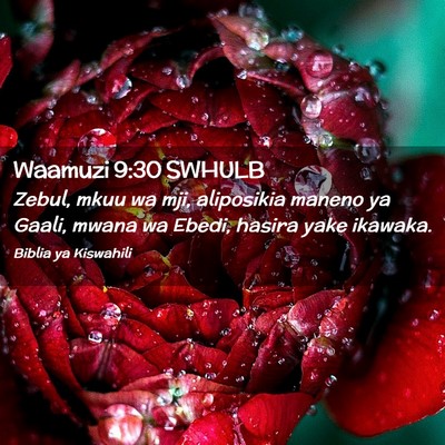 Picture 02 - Waamuzi 9:30 SWHULB - Zebul, mkuu wa mji, aliposikia maneno ya Gaali, - Bible Verse Picture