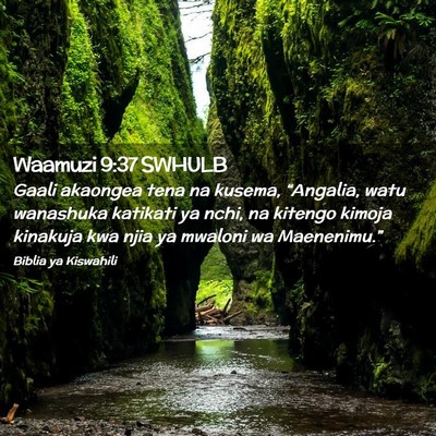 Picture 02 - Waamuzi 9:37 SWHULB - Gaali akaongea tena na kusema, “Angalia, watu - Bible Verse Picture