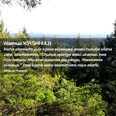 Picture 02 - Waamuzi 9:54 SWHULB - Kisha akamwita yule kijana aliyekuwa anamchukulia - Bible Verse Picture