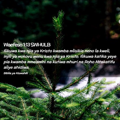 Picture 02 - Waefeso 1:13 SWHULB - Ilikuwa kwa njia ya Kristo kwamba mlisikia neno - Bible Verse Picture
