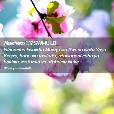 Picture 02 - Waefeso 1:17 SWHULB - Ninaomba kwamba Mungu wa Bwana wetu Yesu Kristo, - Bible Verse Picture