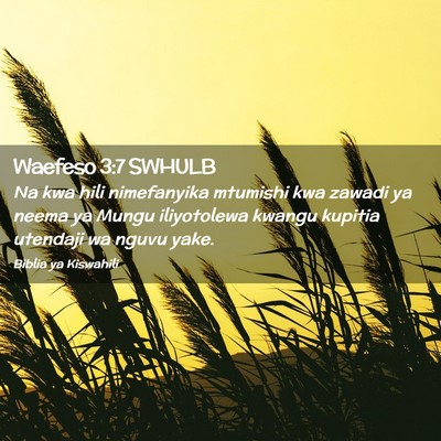 Picture 02 - Waefeso 3:7 SWHULB - Na kwa hili nimefanyika mtumishi kwa zawadi ya - Bible Verse Picture
