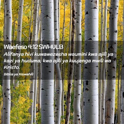Picture 02 - Waefeso 4:12 SWHULB - Alifanya hivi kuwawezesha waumini kwa ajili ya - Bible Verse Picture