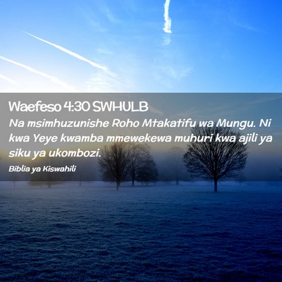 Picture 02 - Waefeso 4:30 SWHULB - Na msimhuzunishe Roho Mtakatifu wa Mungu. Ni kwa - Bible Verse Picture