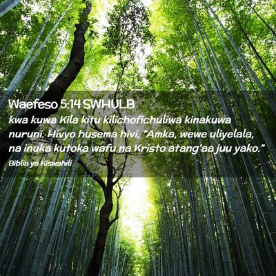 Picture 02 - Waefeso 5:14 SWHULB - kwa kuwa Kila kitu kilichofichuliwa kinakuwa - Bible Verse Picture