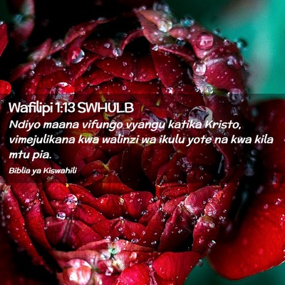 Picture 02 - Wafilipi 1:13 SWHULB - Ndiyo maana vifungo vyangu katika Kristo, - Bible Verse Picture