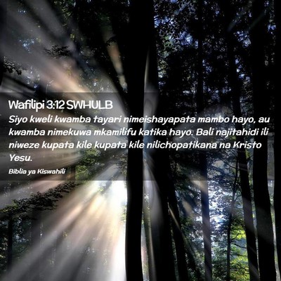 Picture 02 - Wafilipi 3:12 SWHULB - Siyo kweli kwamba tayari nimeishayapata mambo - Bible Verse Picture