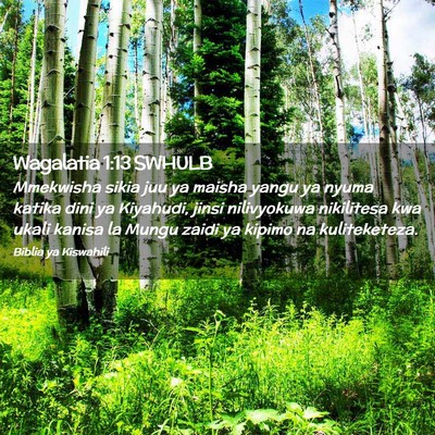 Picture 02 - Wagalatia 1:13 SWHULB - Mmekwisha sikia juu ya maisha yangu ya nyuma - Bible Verse Picture