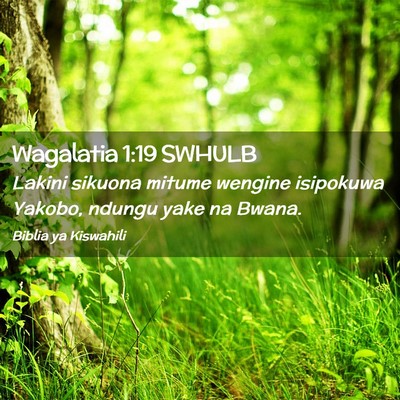 Picture 02 - Wagalatia 1:19 SWHULB - Lakini sikuona mitume wengine isipokuwa Yakobo, - Bible Verse Picture