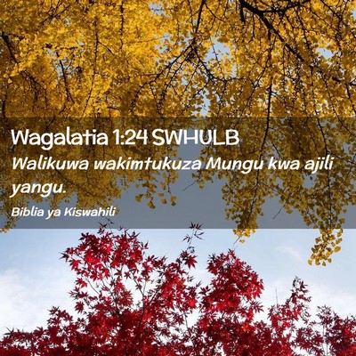 Picture 02 - Wagalatia 1:24 SWHULB - Walikuwa wakimtukuza Mungu kwa ajili - Bible Verse Picture