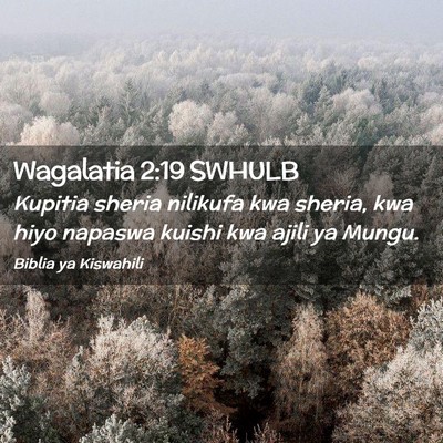 Picture 02 - Wagalatia 2:19 SWHULB - Kupitia sheria nilikufa kwa sheria, kwa hiyo - Bible Verse Picture
