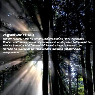 Picture 02 - Wagalatia 2:9 SWHULB - Wakati Yakobo, Kefa, na Yohana, waliotambulika - Bible Verse Picture