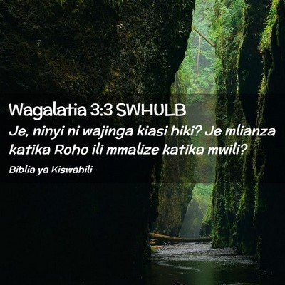 Picture 02 - Wagalatia 3:3 SWHULB - Je, ninyi ni wajinga kiasi hiki? Je mlianza - Bible Verse Picture