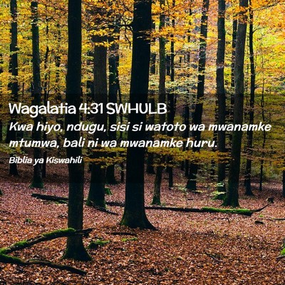 Picture 02 - Wagalatia 4:31 SWHULB - Kwa hiyo, ndugu, sisi si watoto wa mwanamke - Bible Verse Picture