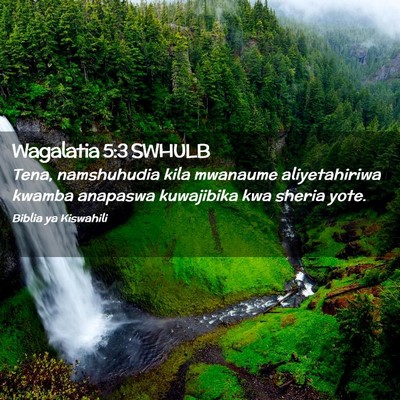 Picture 02 - Wagalatia 5:3 SWHULB - Tena, namshuhudia kila mwanaume aliyetahiriwa - Bible Verse Picture