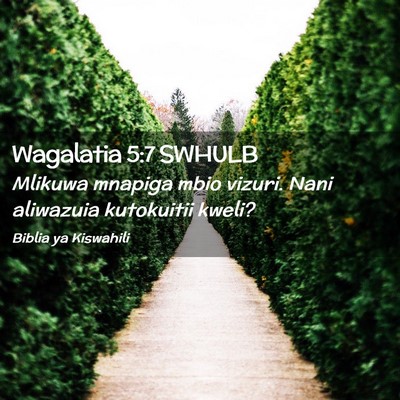 Picture 02 - Wagalatia 5:7 SWHULB - Mlikuwa mnapiga mbio vizuri. Nani aliwazuia - Bible Verse Picture