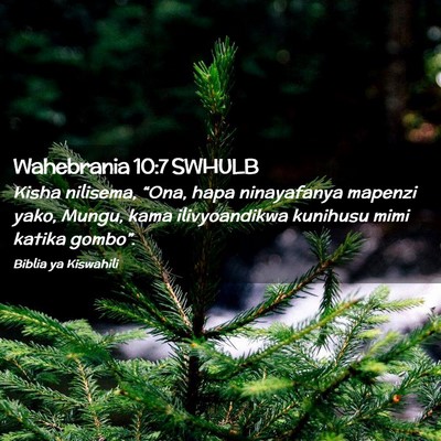 Picture 02 - Wahebrania 10:7 SWHULB - Kisha nilisema, “Ona, hapa ninayafanya mapenzi - Bible Verse Picture
