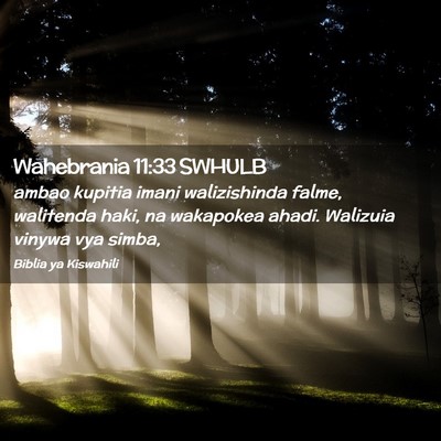 Picture 02 - Wahebrania 11:33 SWHULB - ambao kupitia imani walizishinda falme, walitenda - Bible Verse Picture