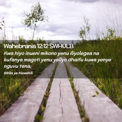 Picture 02 - Wahebrania 12:12 SWHULB - Kwa hiyo inueni mikono yenu iliyolegea na kufanya - Bible Verse Picture