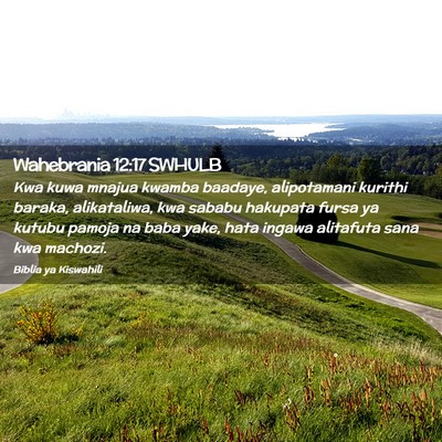 Picture 02 - Wahebrania 12:17 SWHULB - Kwa kuwa mnajua kwamba baadaye, alipotamani - Bible Verse Picture
