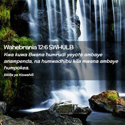 Picture 02 - Wahebrania 12:6 SWHULB - Kwa kuwa Bwana humrudi yeyote ambaye anampenda, - Bible Verse Picture