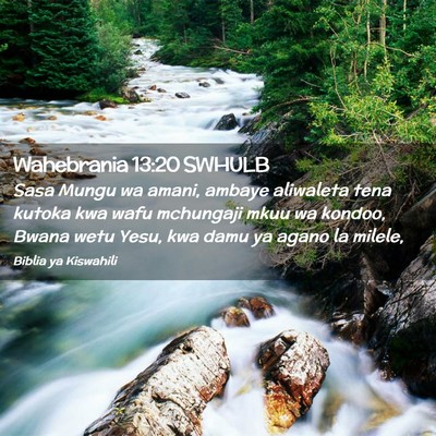 Picture 02 - Wahebrania 13:20 SWHULB - Sasa Mungu wa amani, ambaye aliwaleta tena kutoka - Bible Verse Picture